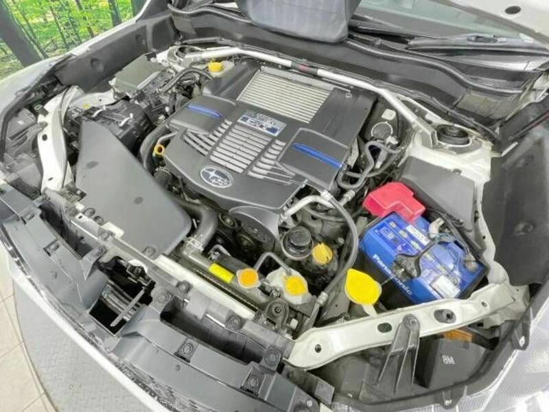 FORESTER-17