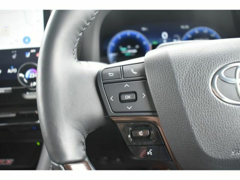 ALPHARD-16