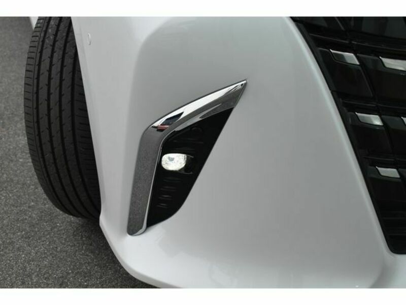 ALPHARD-25