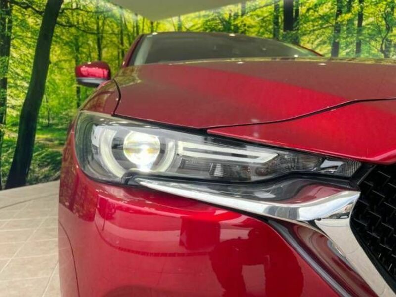 CX-5-13