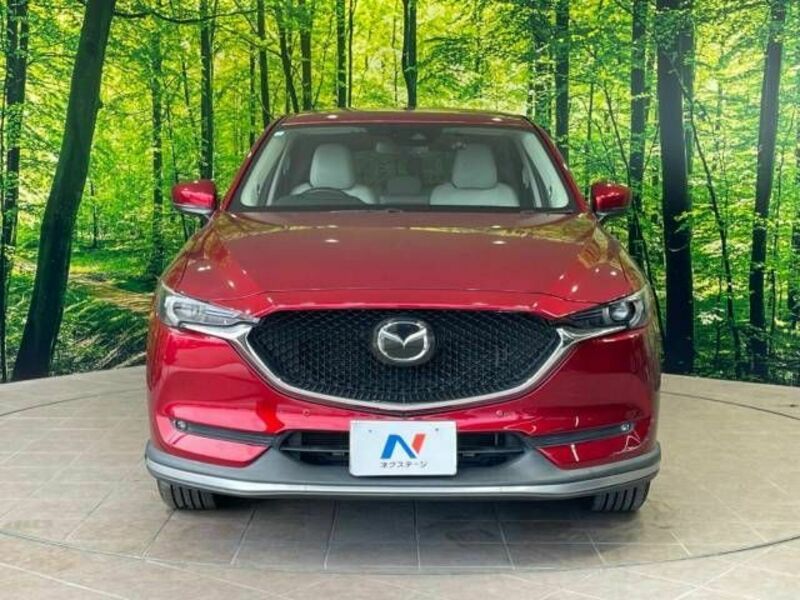 CX-5-14