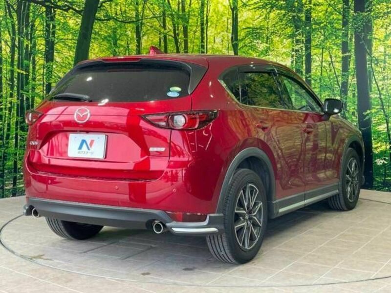 CX-5-17