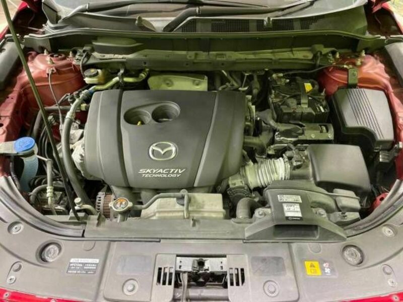CX-5-18