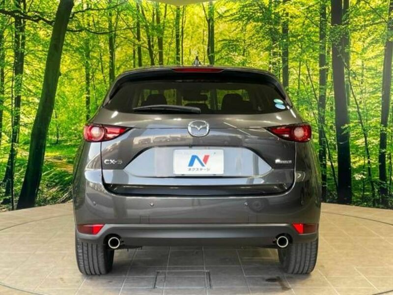 CX-5-16