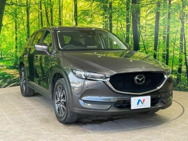 CX-5-17