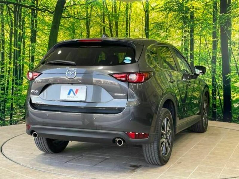 CX-5-18