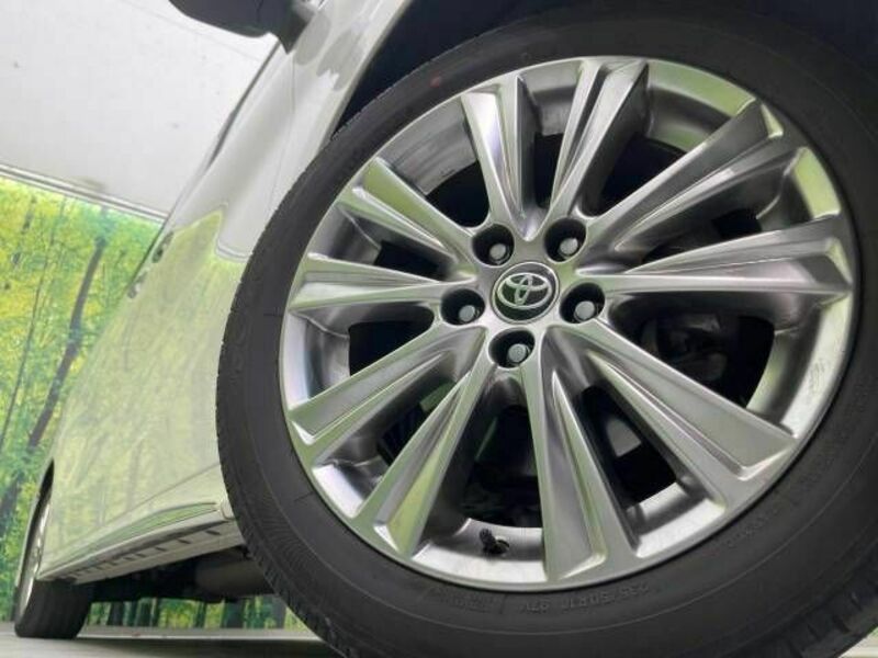 ALPHARD-16