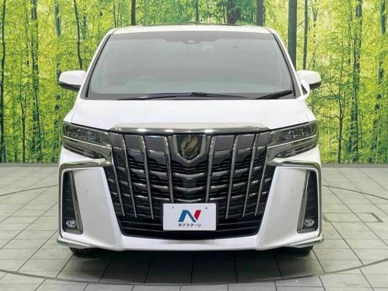 ALPHARD-17