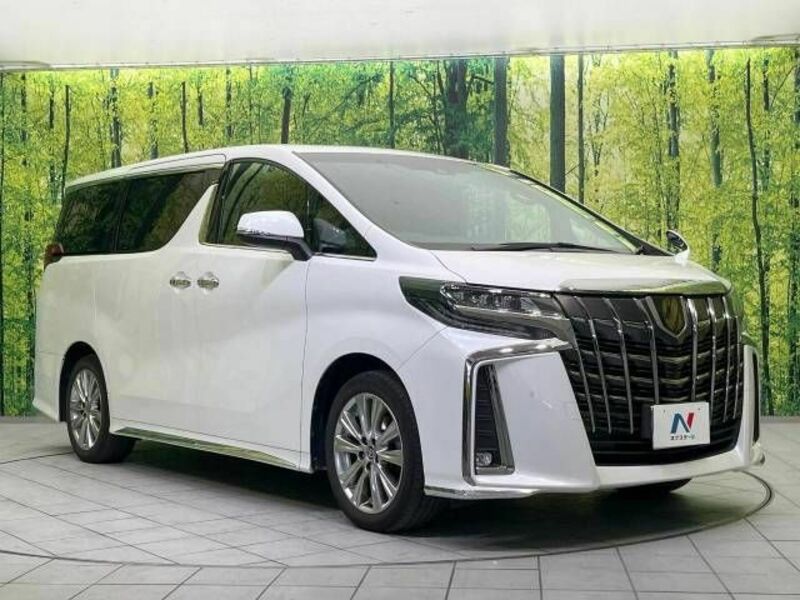 ALPHARD-19