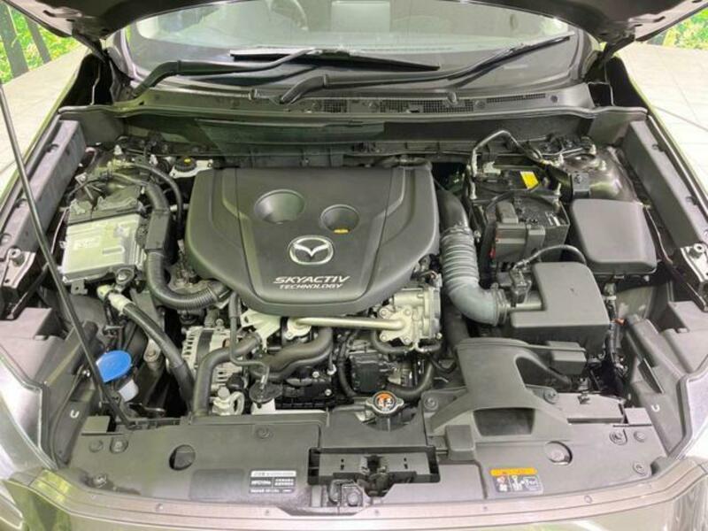 CX-3-17