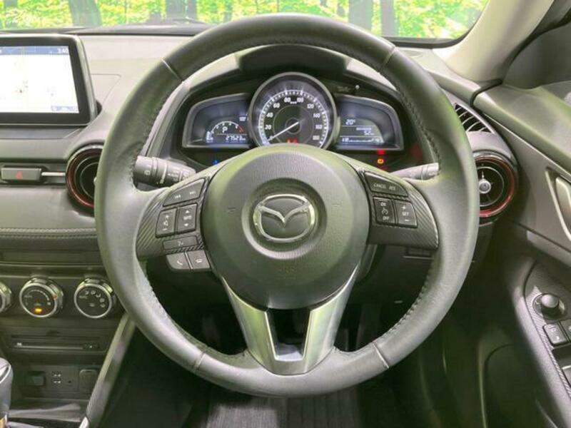 CX-3-10