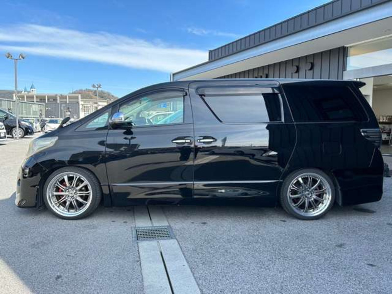 ALPHARD-13