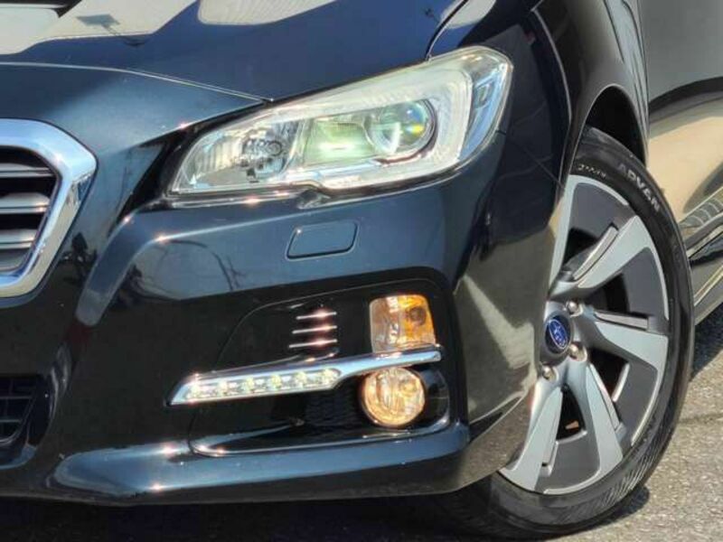 LEVORG