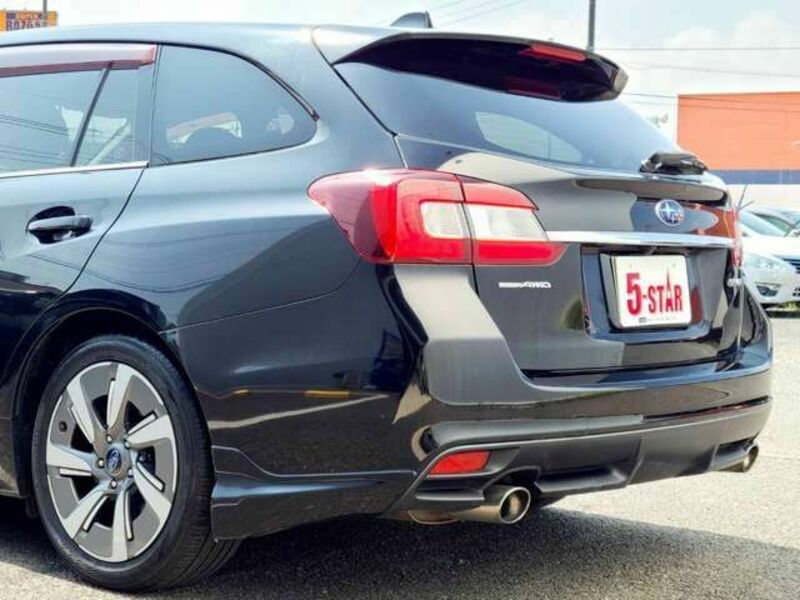 LEVORG