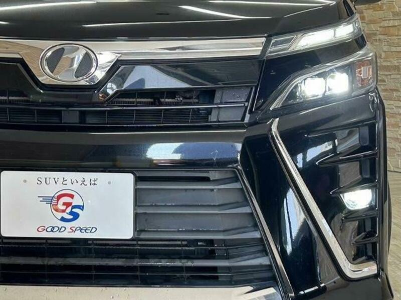 VOXY-19