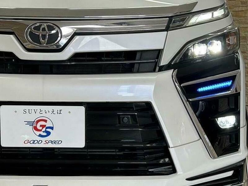 VOXY-19