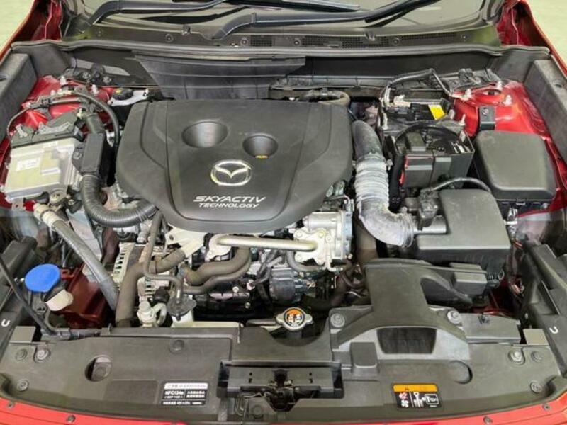 CX-3-17
