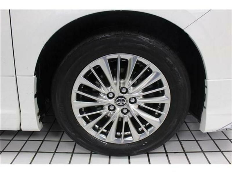 ALPHARD-18