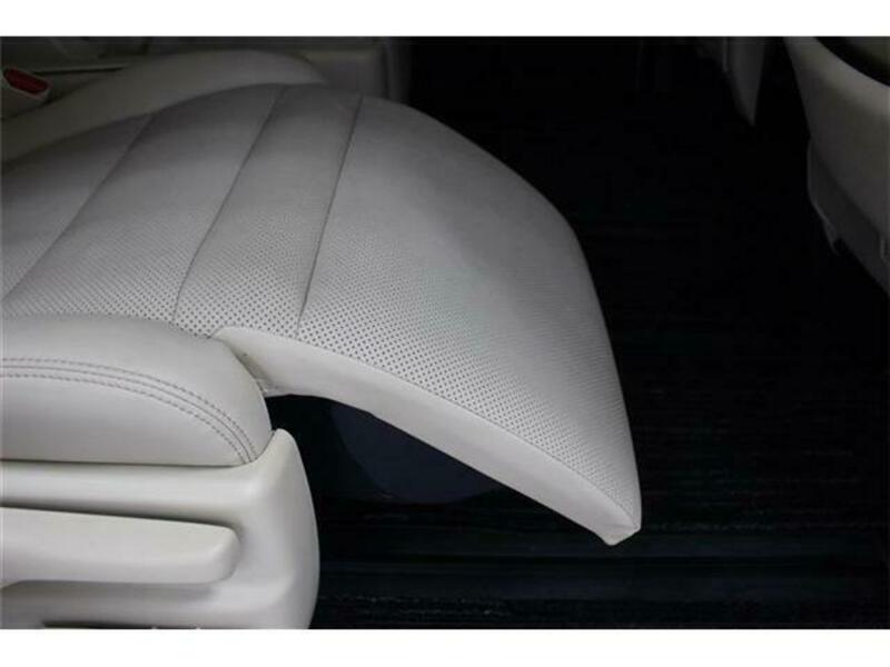 ALPHARD-19