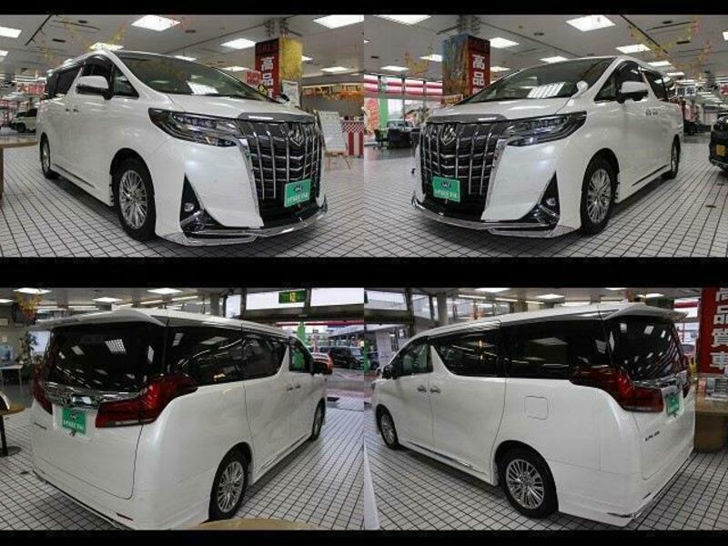 ALPHARD-1