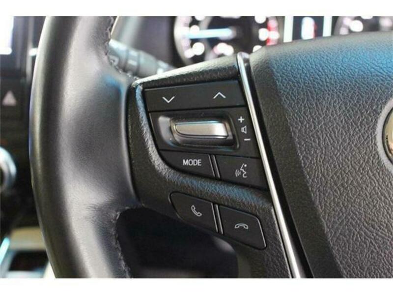 ALPHARD-10