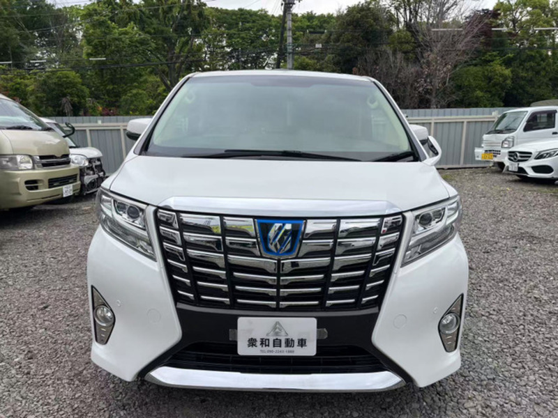 ALPHARD-1