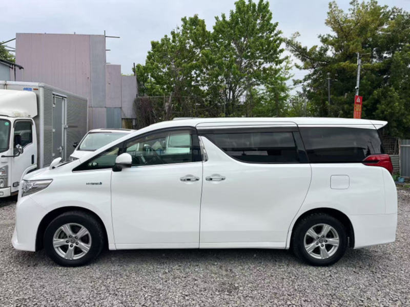 ALPHARD-4
