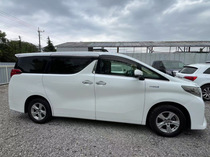 ALPHARD-3