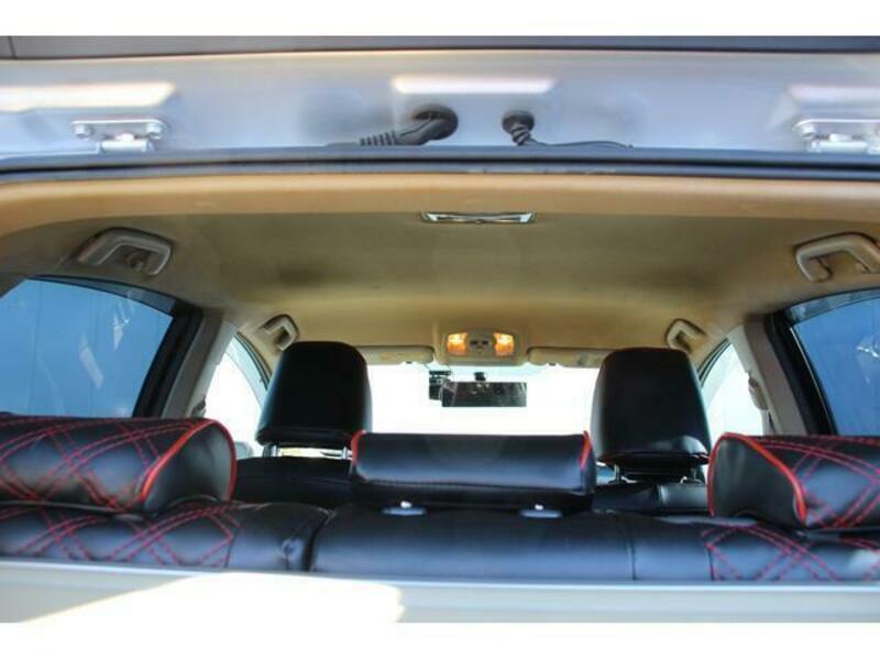 PRIUS-16