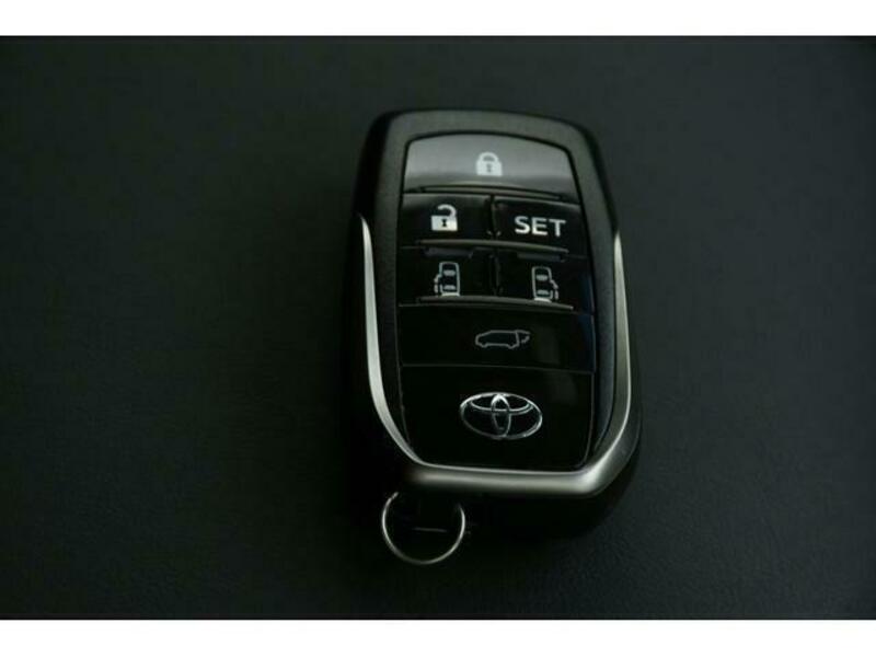 ALPHARD-10