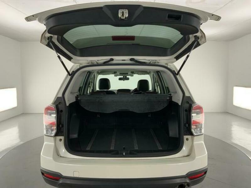 FORESTER-15