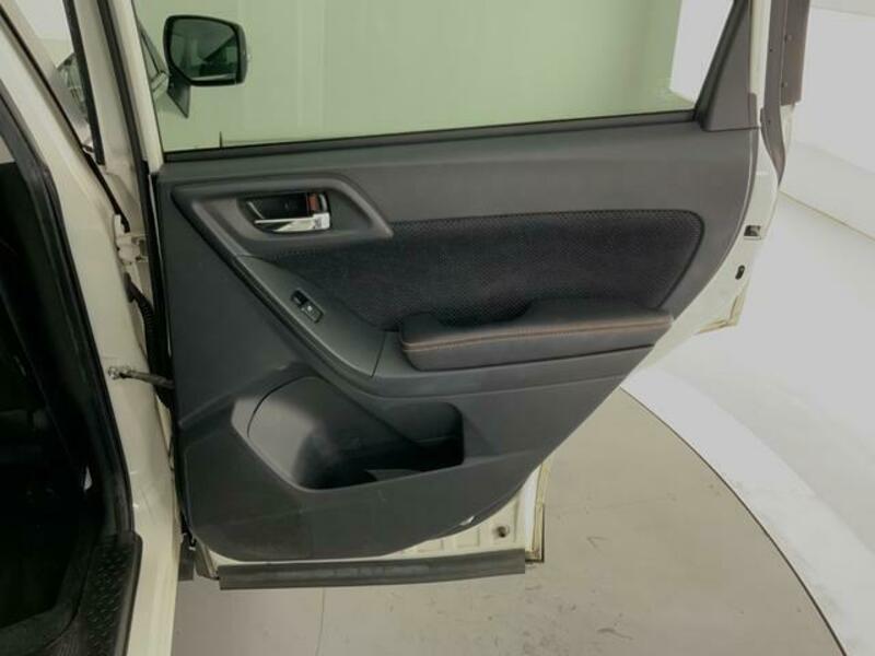 FORESTER-19