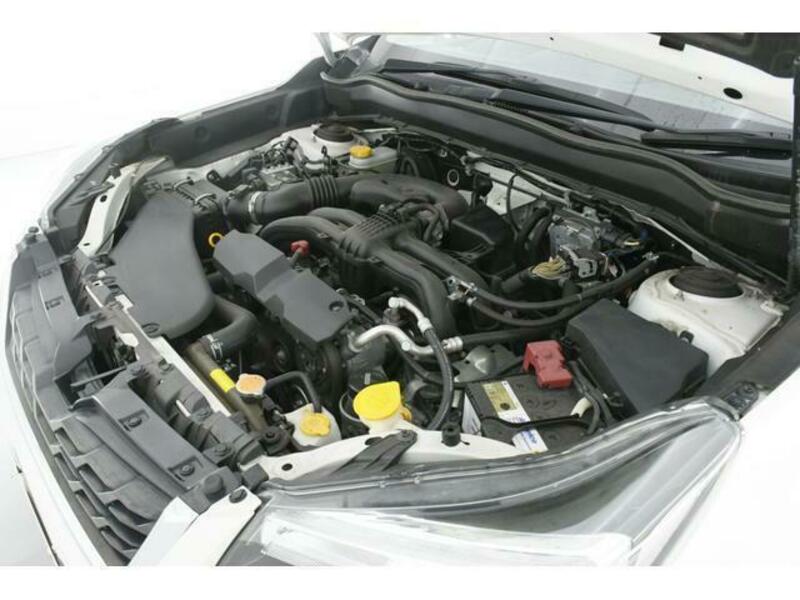 FORESTER-11