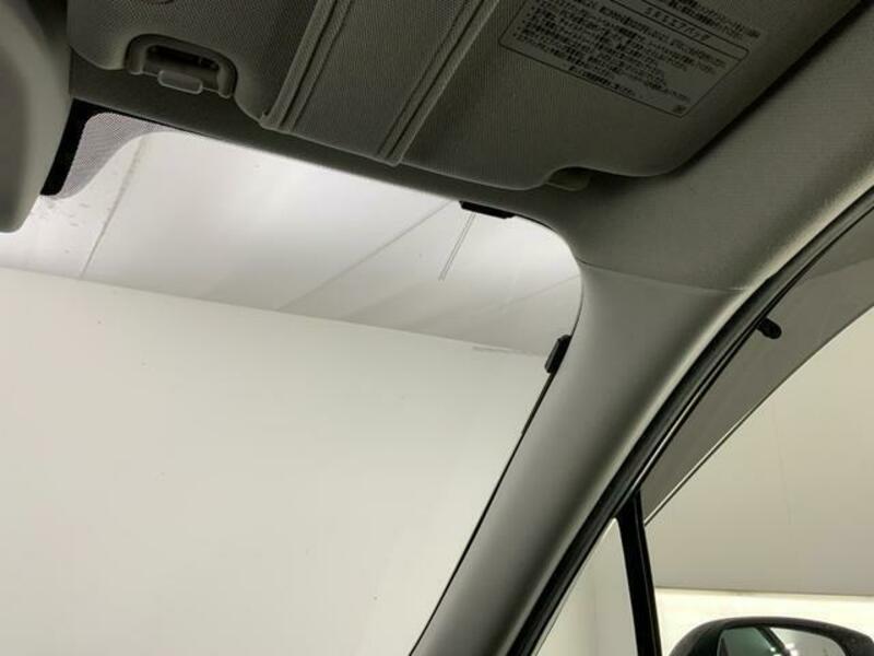 FORESTER-13
