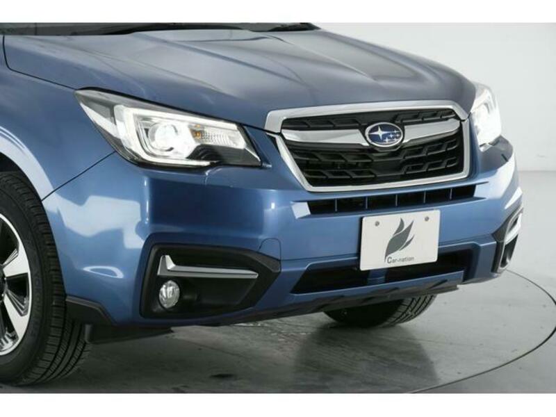 FORESTER-3