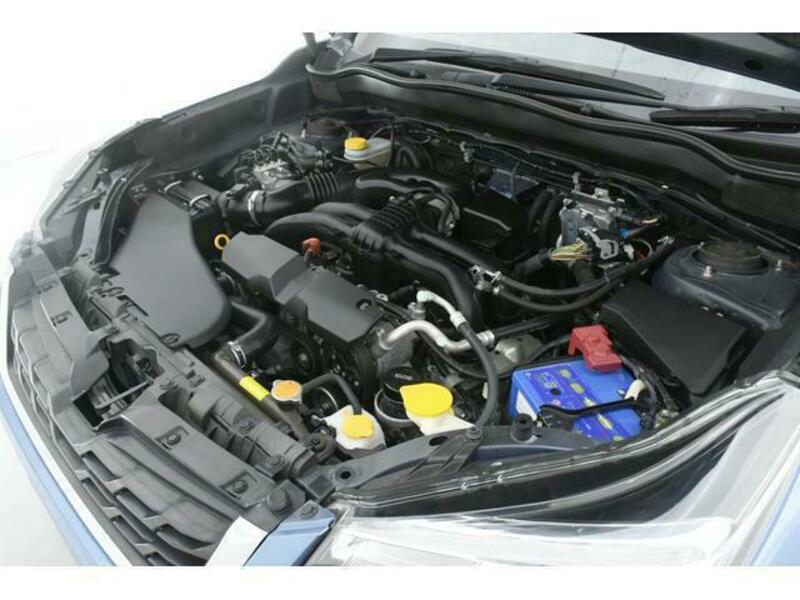 FORESTER-11