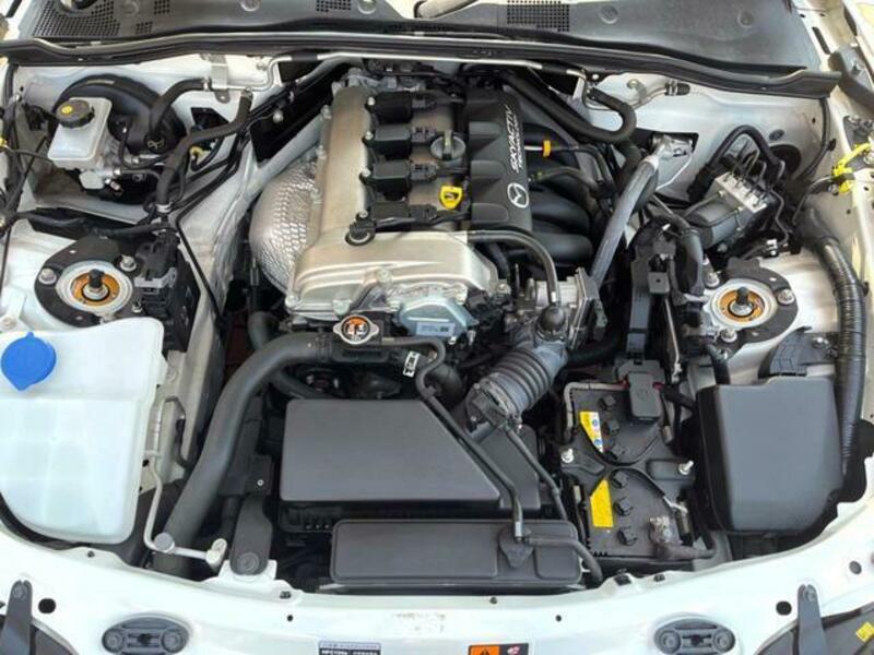 ROADSTER-17