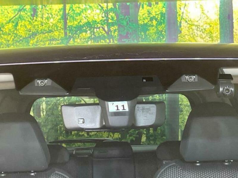 FORESTER-2