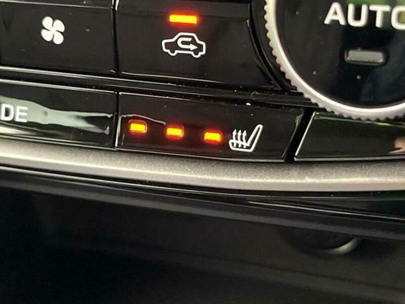 FORESTER-7