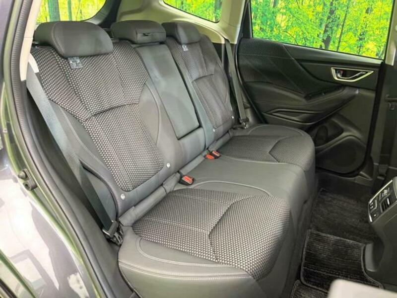 FORESTER-9