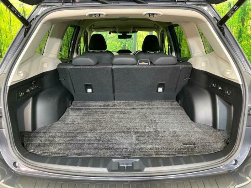 FORESTER-10