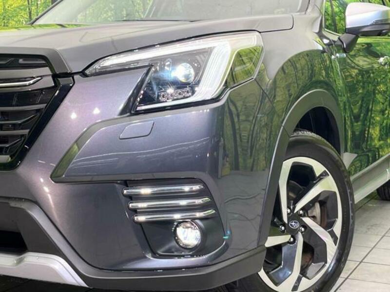 FORESTER-12