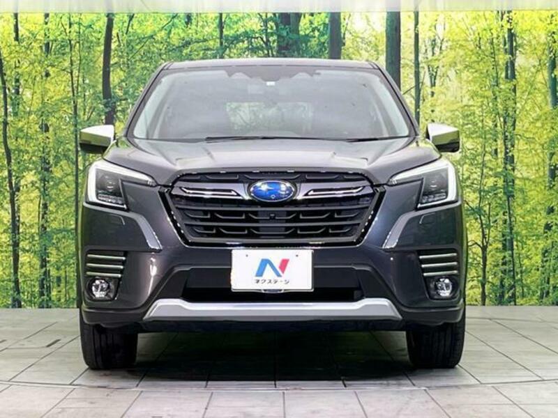 FORESTER-14