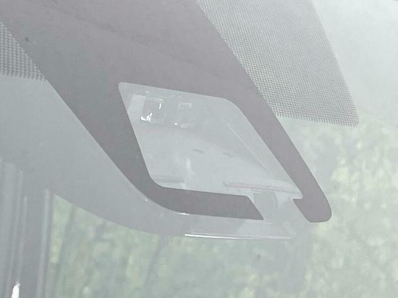 VOXY-4