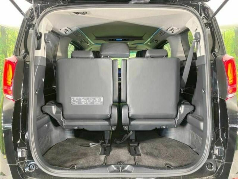 ALPHARD-10