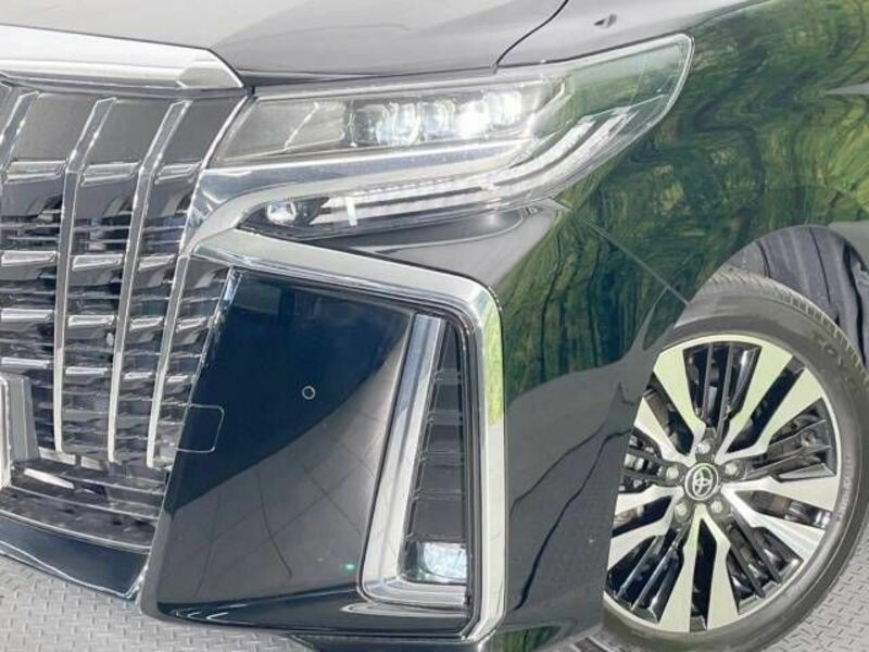 ALPHARD-12