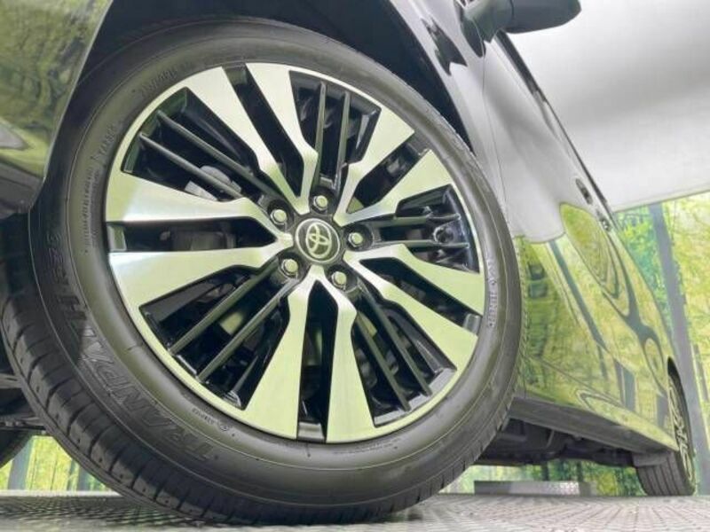 ALPHARD-13