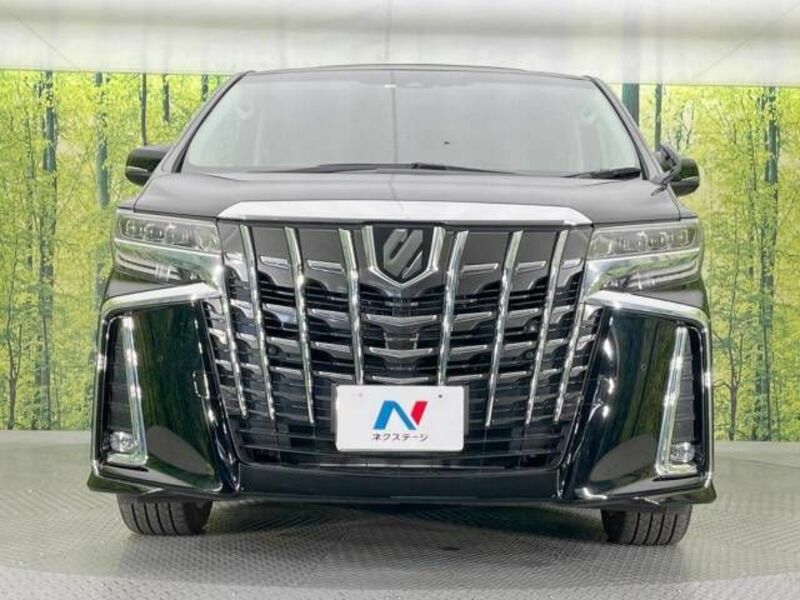 ALPHARD-14