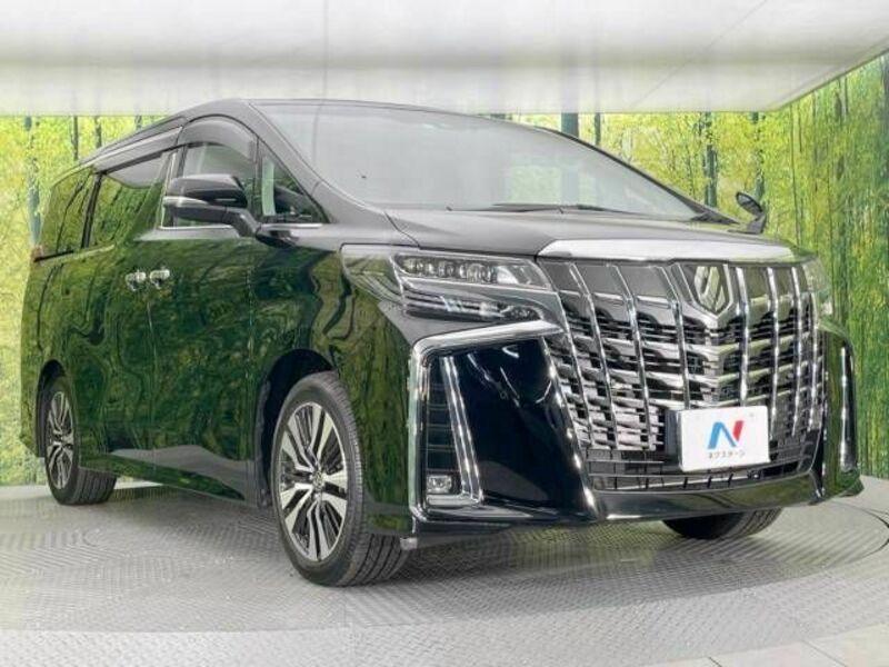 ALPHARD-16