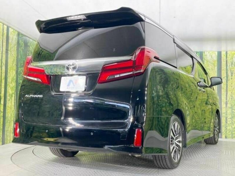 ALPHARD-17